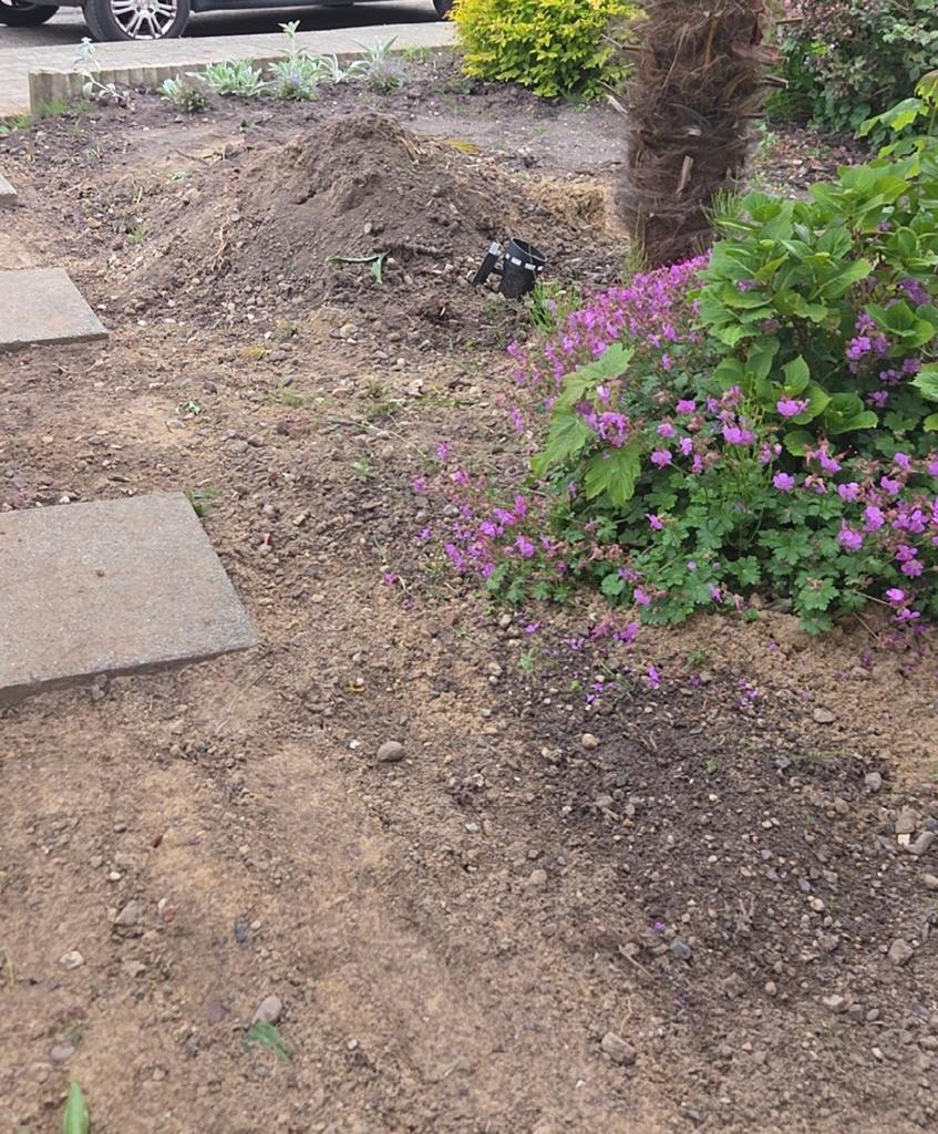 Gratis af te halen zwarte grond, Tuin en Terras, Zand, Ophalen, Overige typen