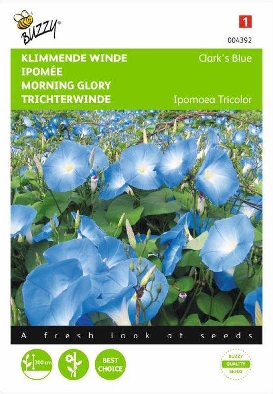 Klimmende winde zaden - Clark’s Blue, Verzenden, Volle zon, Zaad