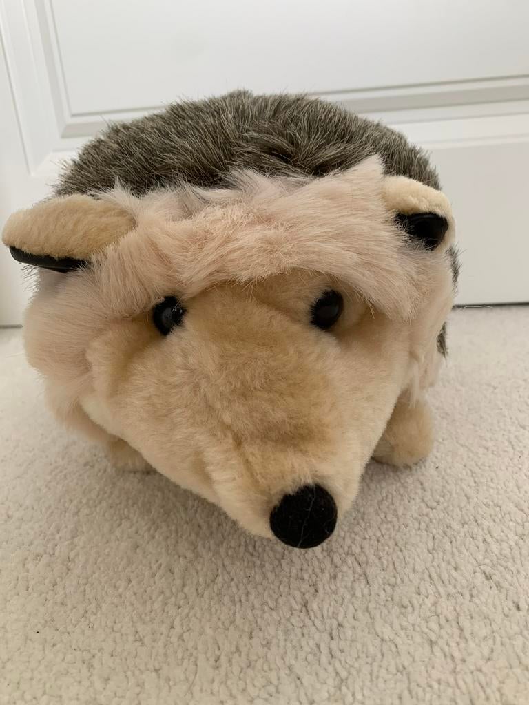 Egel knuffel., Ophalen of Verzenden, Nieuw, Overige typen