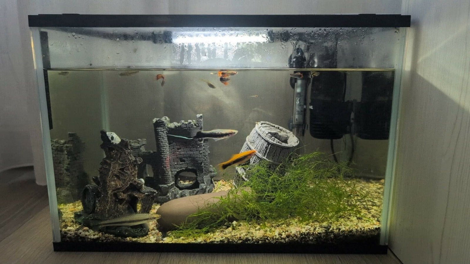 40L Aquarium Set, Ophalen of Verzenden, Zo goed als nieuw, Leeg aquarium