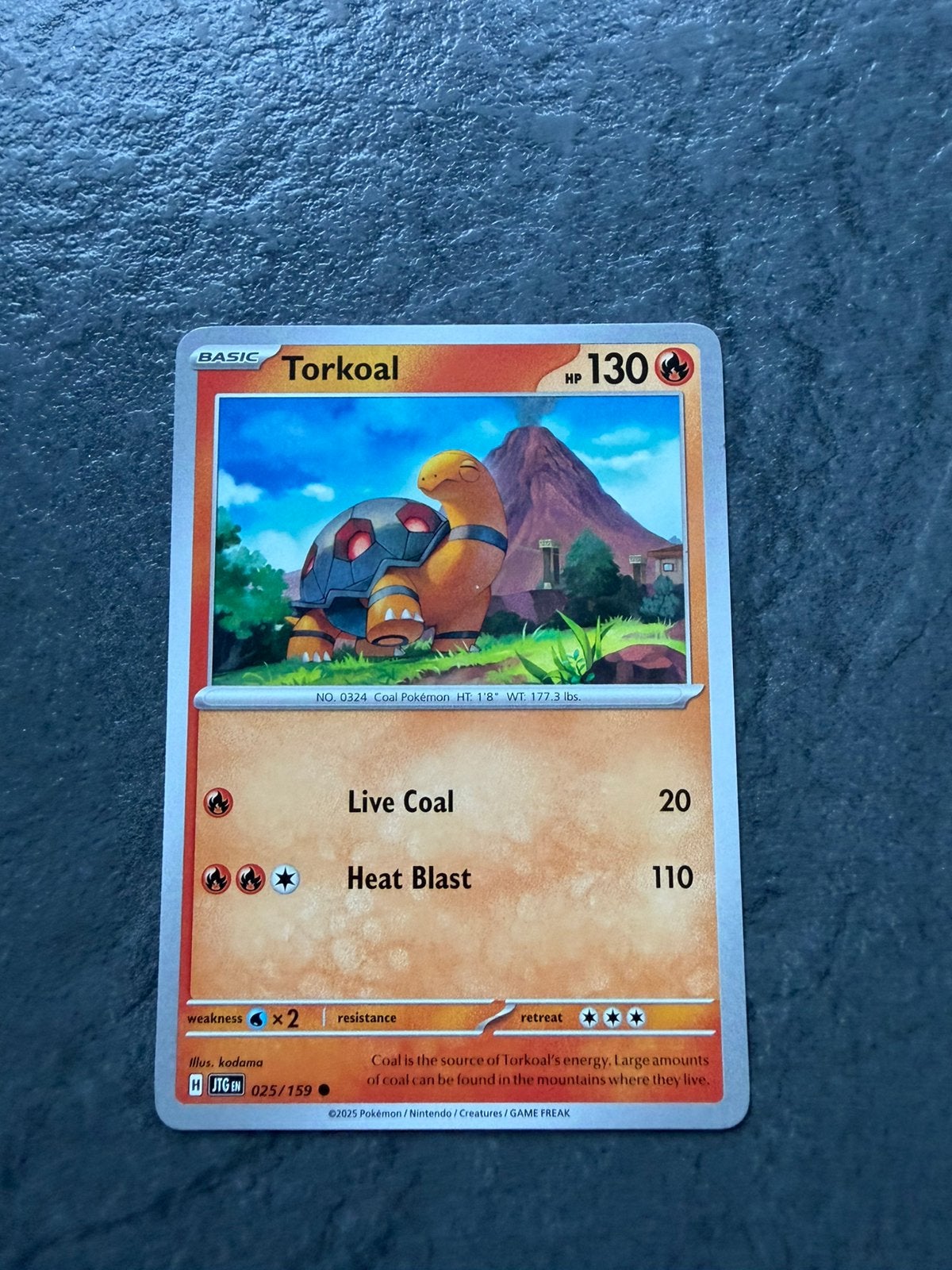 Torkoal, Ophalen of Verzenden, Zo goed als nieuw
