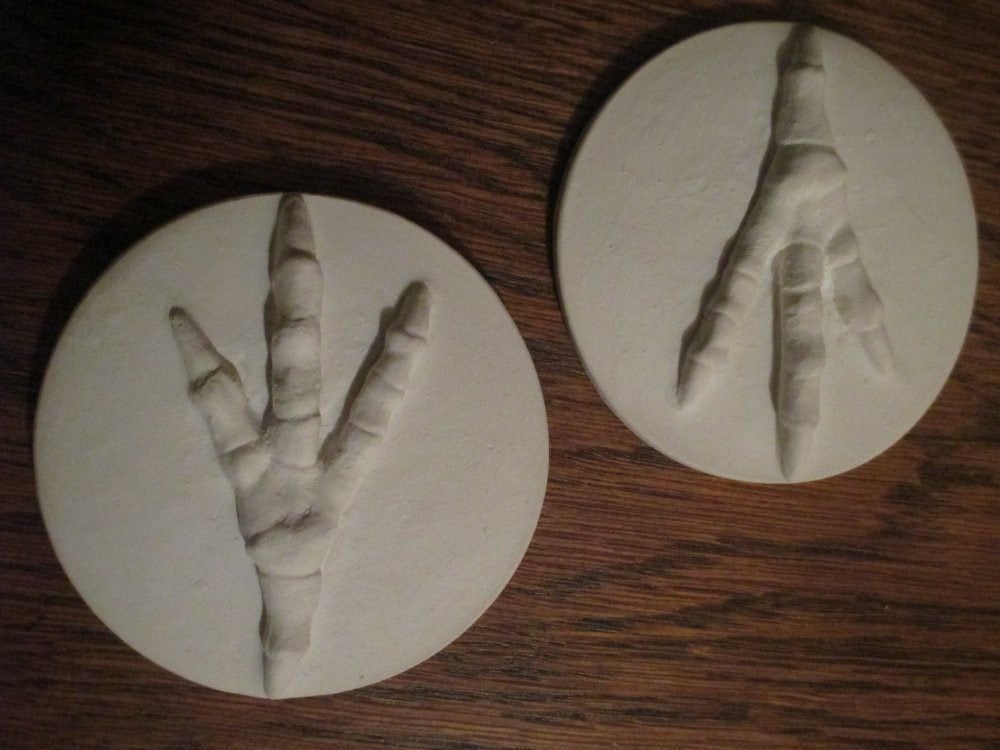gipsen Vogelpoot Deco, beschilderbaar Reliëf van blanco gips, Ophalen of Verzenden, Nieuw