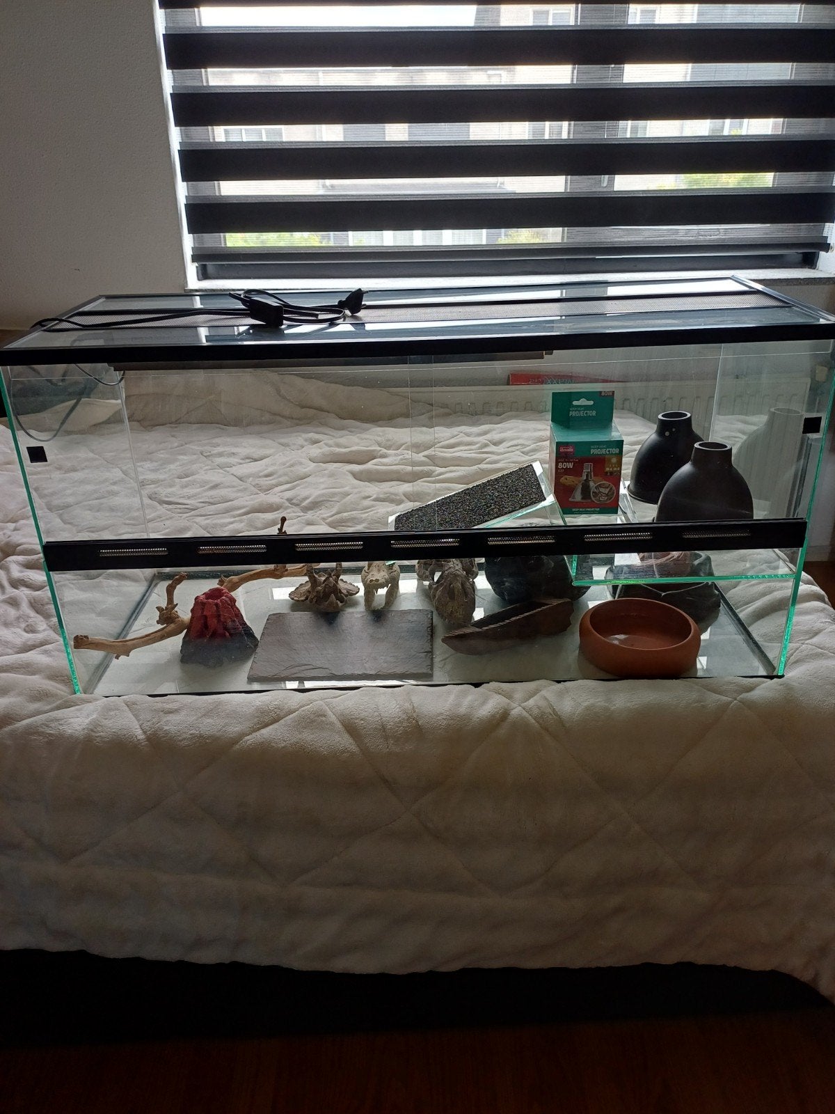 Terrarium 100 x 50 x 40 met toebehoren, Ophalen, Zo goed als nieuw, Terrarium of Paludarium