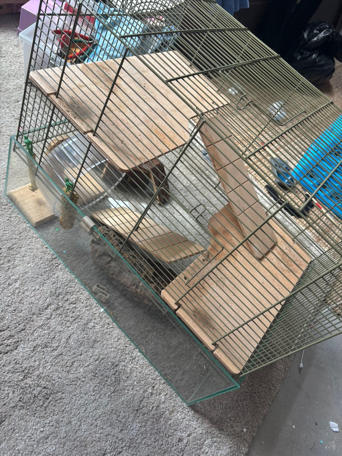 Kooi hamster, Kooi, Gebruikt, Minder dan 75 cm, Hamster
