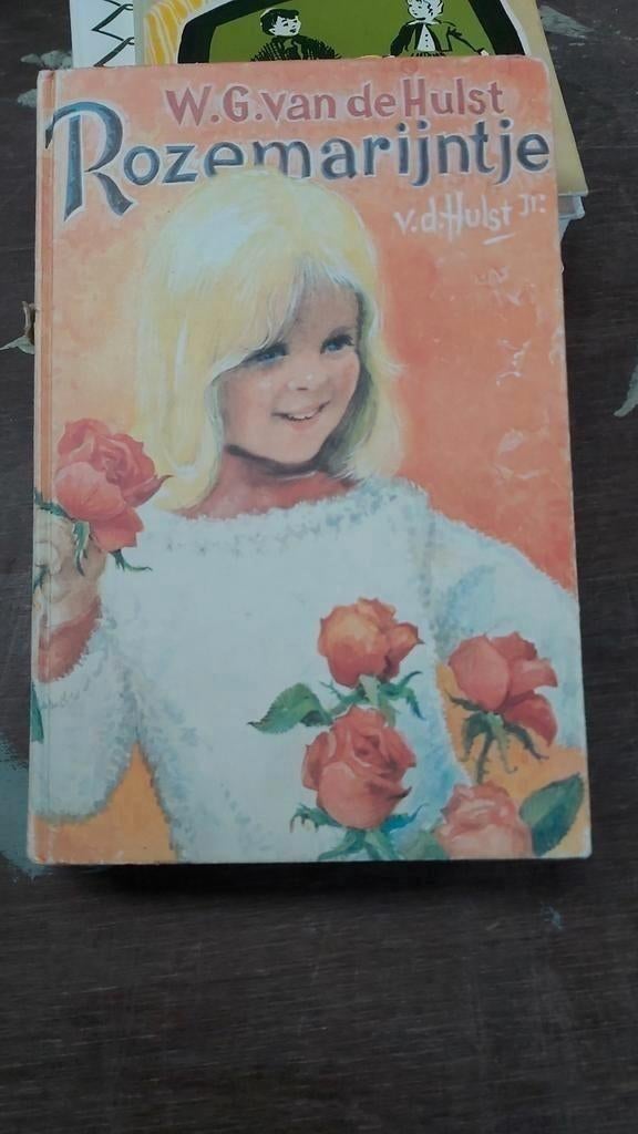 W.G. van de Hulst Rozemarijntje omnibus. Alle verhalen in 1, Boeken, Ophalen of Verzenden, Gelezen, W.G. van de Hulst
