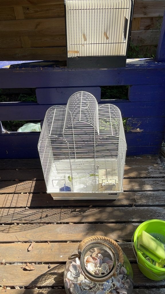 vogelkooi, Ophalen, Zo goed als nieuw, Metaal, Vogelkooi