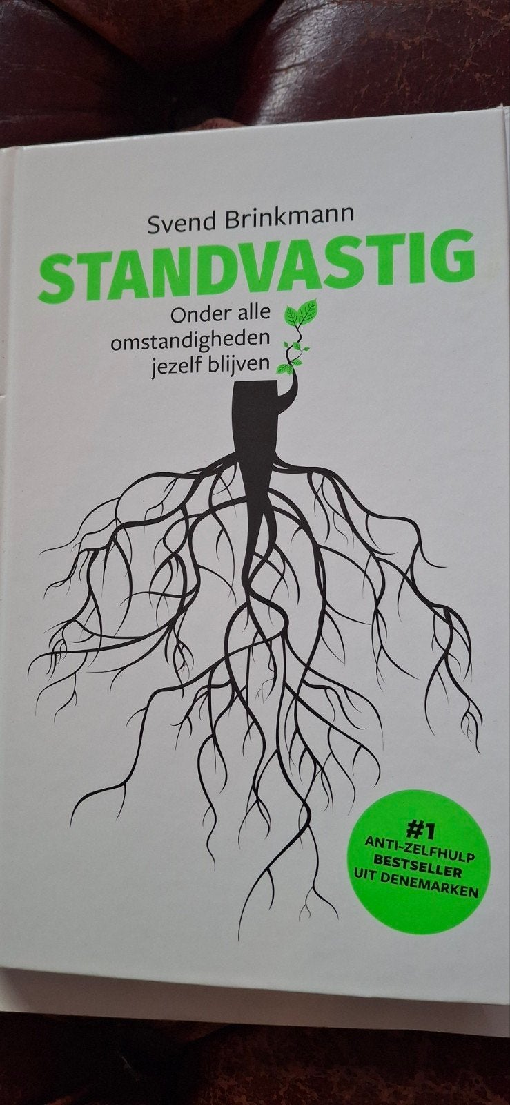 Standvastig - Onder alle omstandigheden jezelf blijven, Ophalen of Verzenden, Zo goed als nieuw, Svend Brinkmann, Europa overig