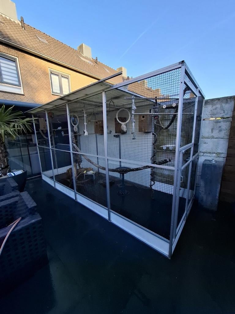 Grote volière 4x2x2 m incl. vogels & toebehoren - Den Bosch, Dieren en Toebehoren, Ophalen, Gebruikt, Kooi-accessoires