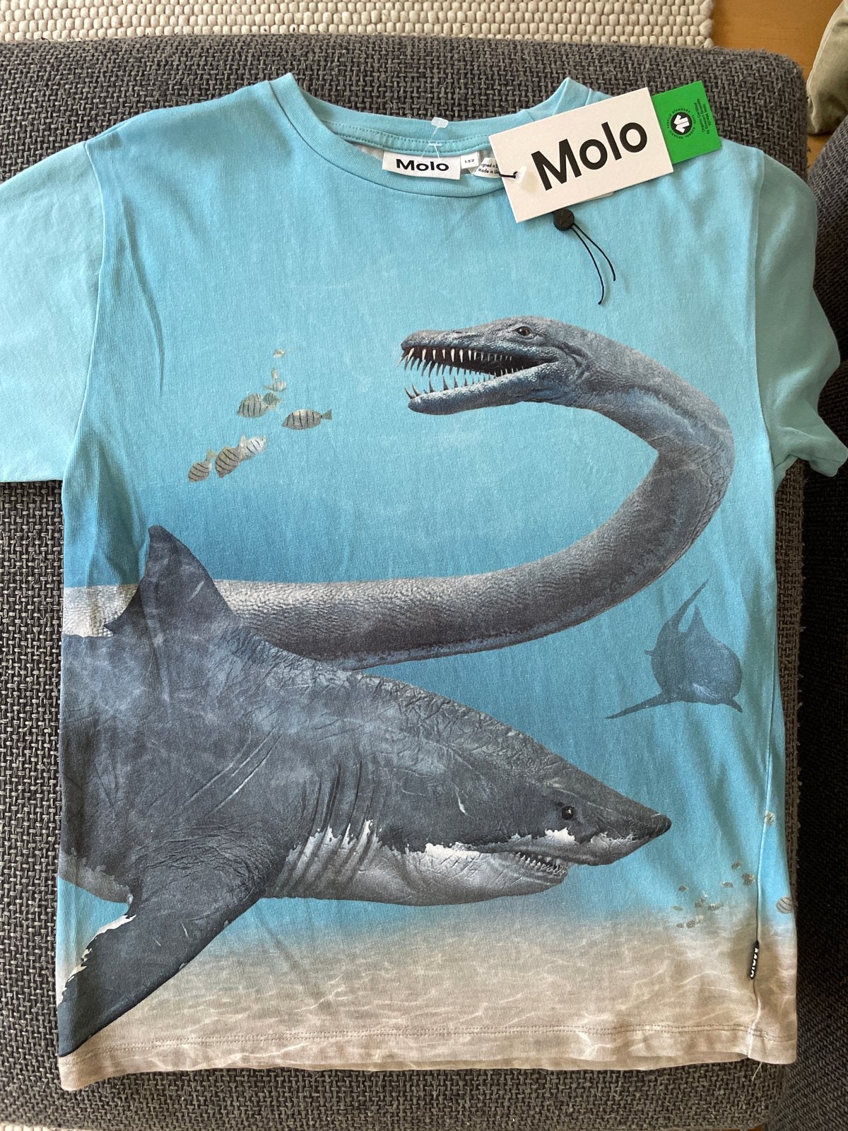 Molo T-shirts nieuw:  maat 152, Ophalen, Nieuw, Jongen of Meisje
