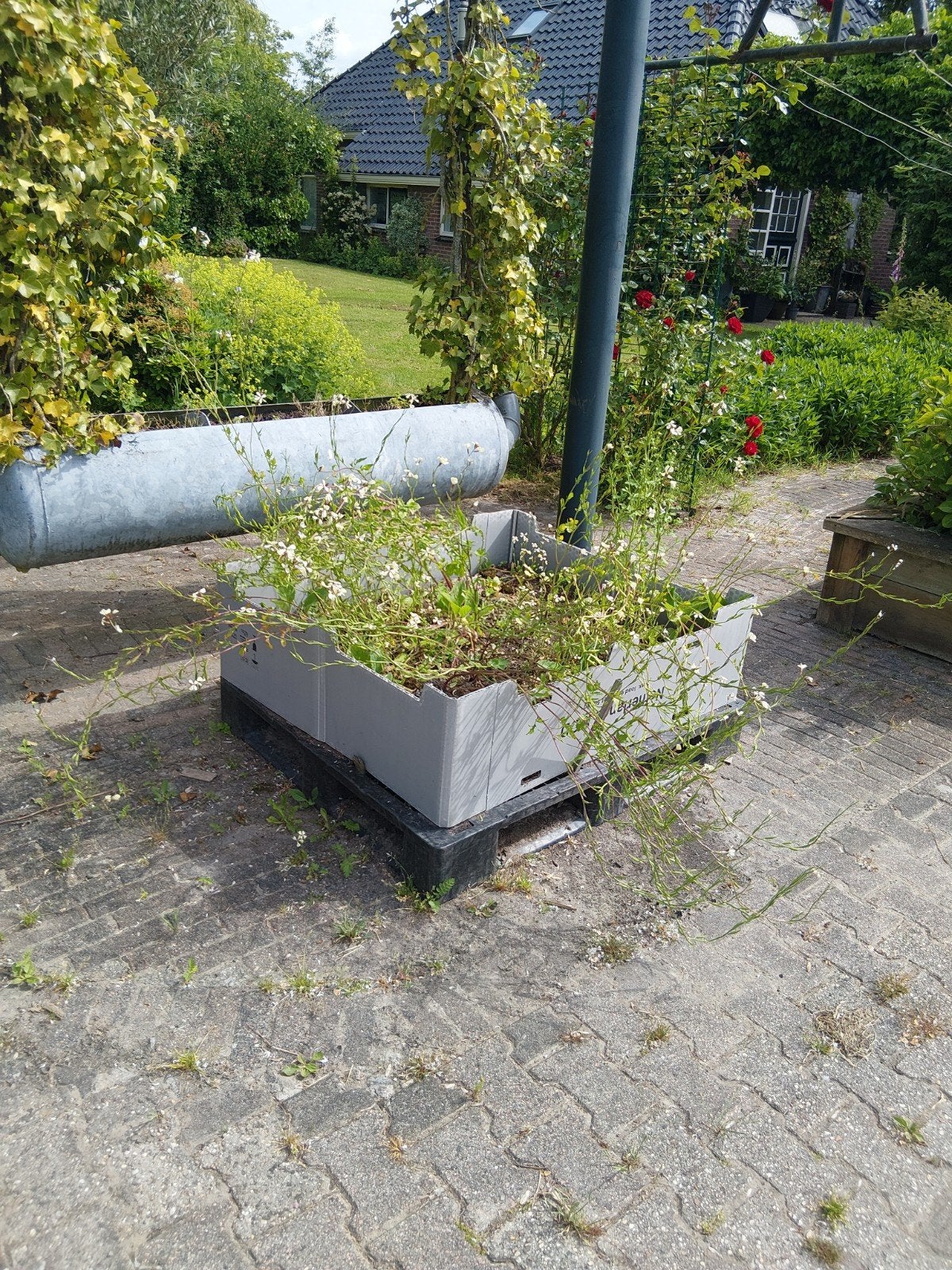 Moestuin bakken, Tuin en Terras, Ophalen, Minder dan 100 cm, Minder dan 25 cm