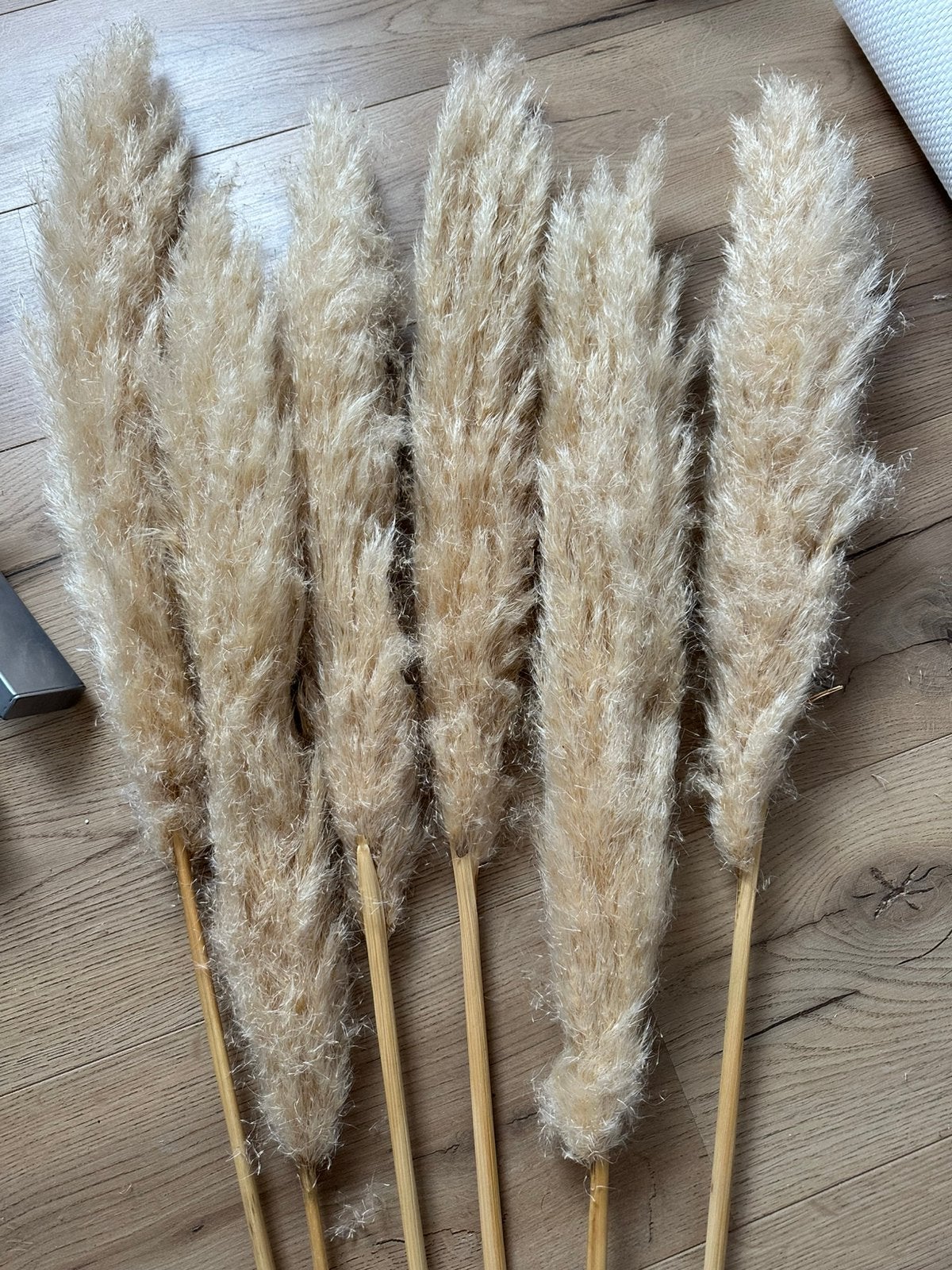 Pampas pluimen, 5 stuks, Ophalen of Verzenden, Zo goed als nieuw