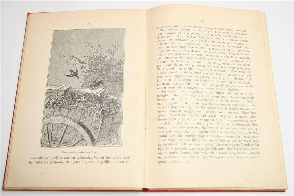 Antieke Almanak voor De Jeugd [1908] — Rijk Geïllustreerd, Ophalen of Verzenden