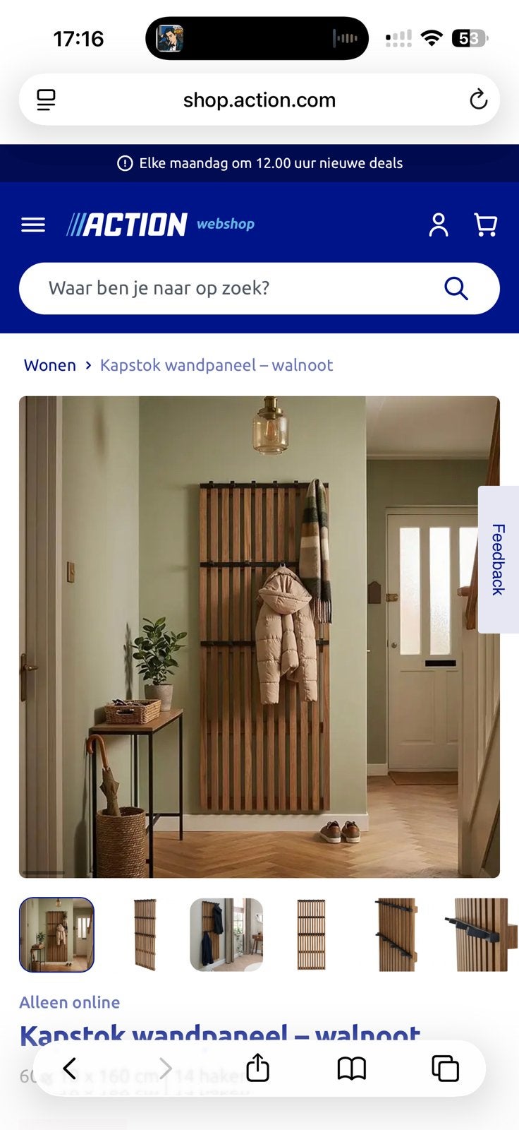 Wandkapstok action, Ophalen, Zo goed als nieuw, Klemhekje