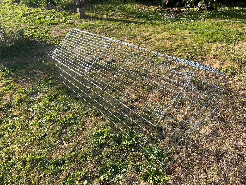 Kippenren, Dieren en Toebehoren, Ophalen, Gebruikt, Kippenhok of Kippenren
