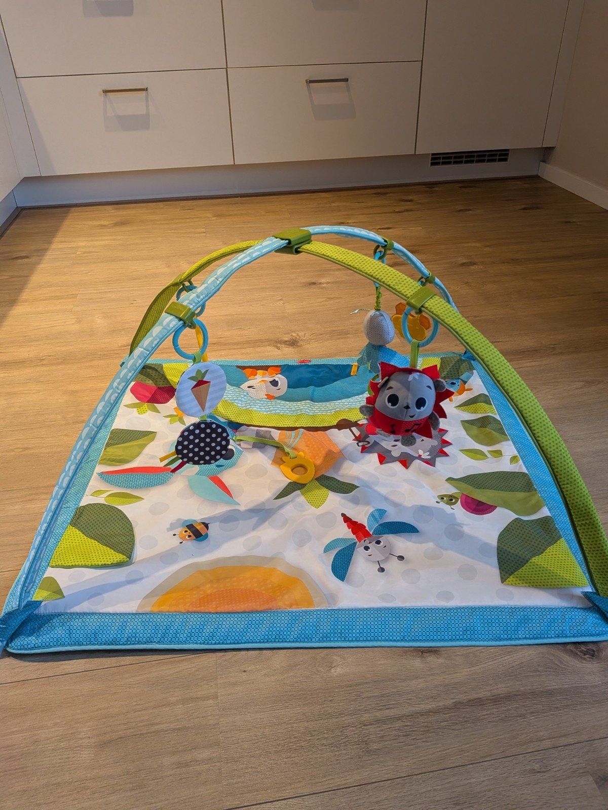 Tiny Love Babygym speelkleed, Ophalen, Zo goed als nieuw
