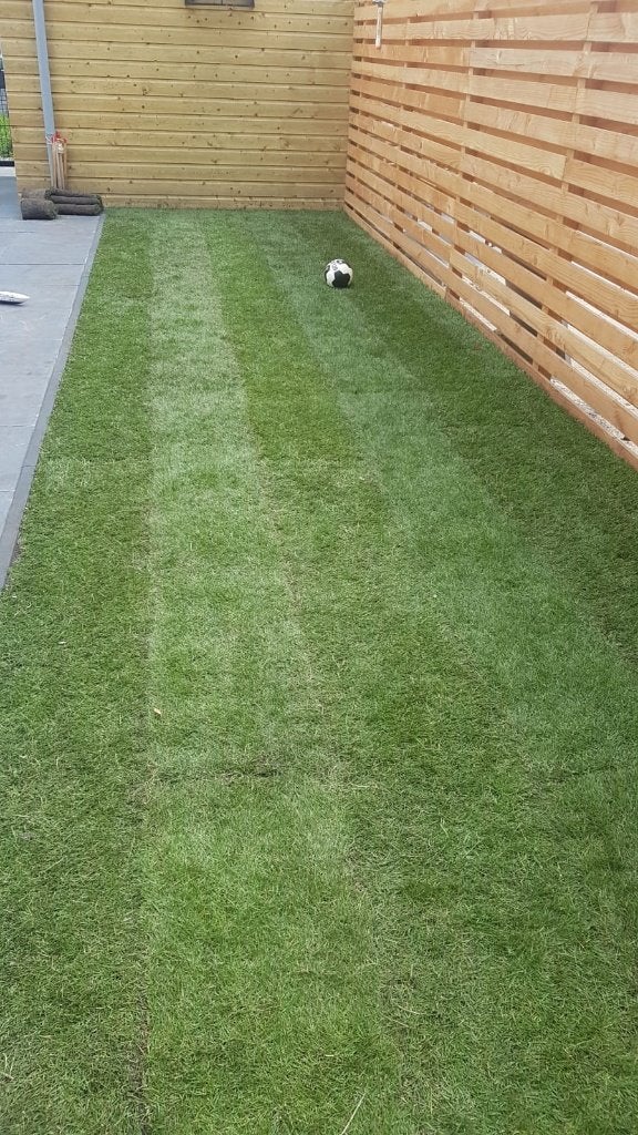 TOP KWALEIT GRASZODEN, Tuin en Terras, Ophalen, Petra, 20 m² of meer, Nieuw