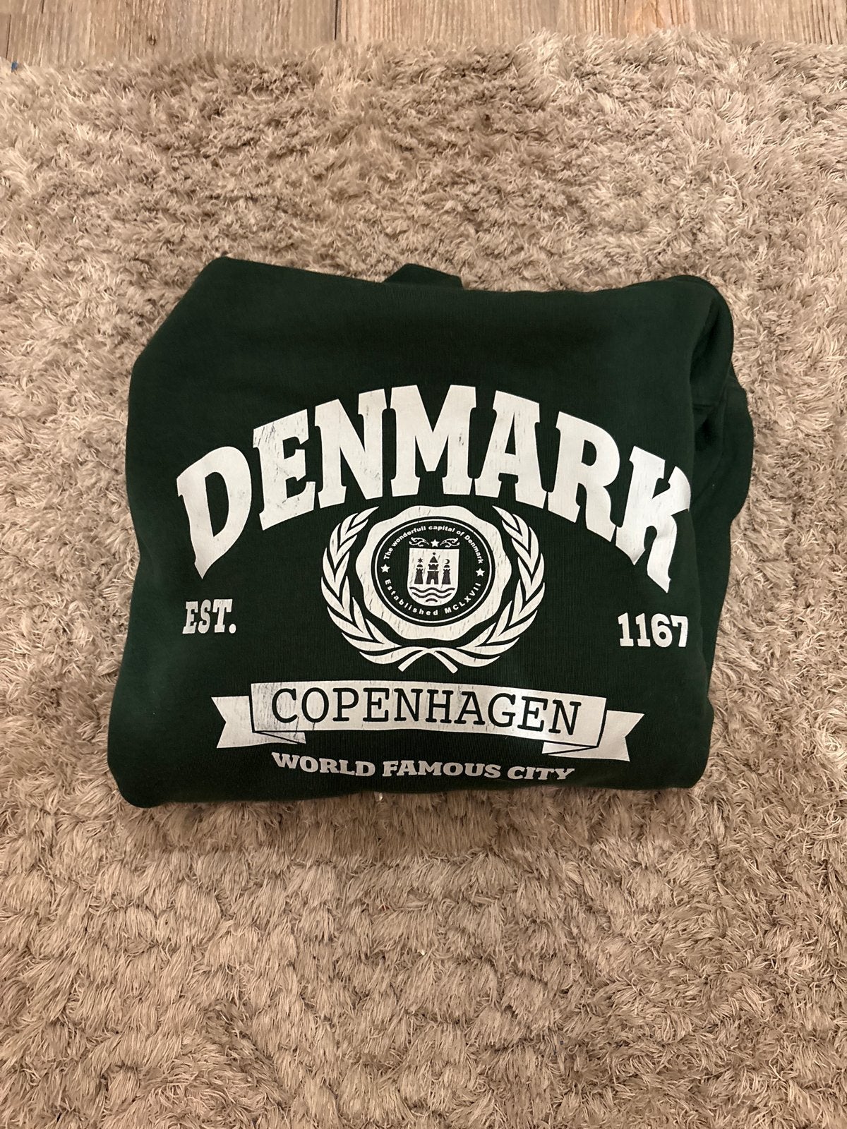 Groene Denmark Kopenhagen Hoodie - Maat s, Ophalen of Verzenden, Gedragen, Maat 48/50 (M), Groen