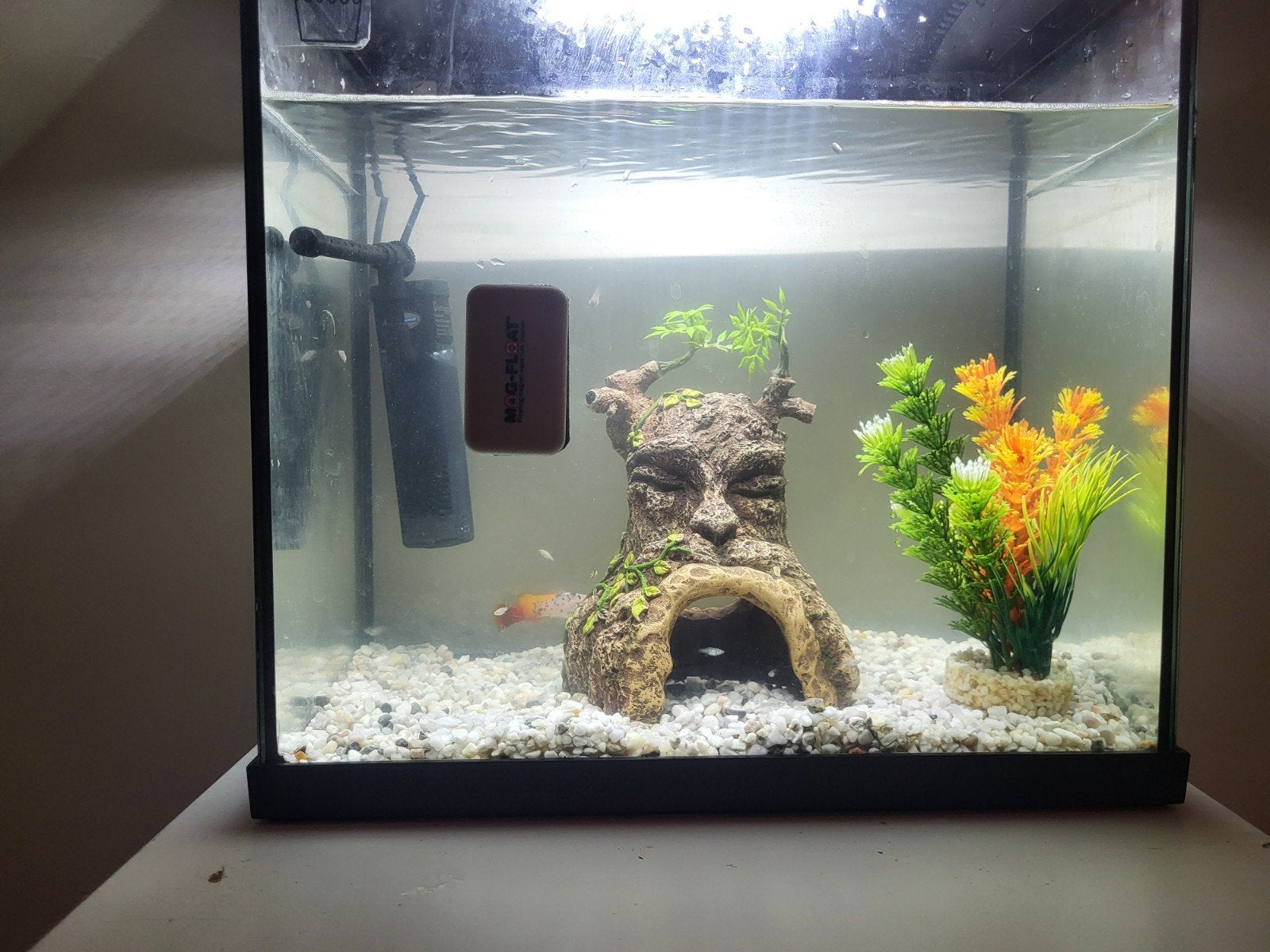 Aquarium met verlichting, Dieren en Toebehoren, Vissen | Aquaria en Toebehoren, Ophalen, Zo goed als nieuw, Leeg aquarium