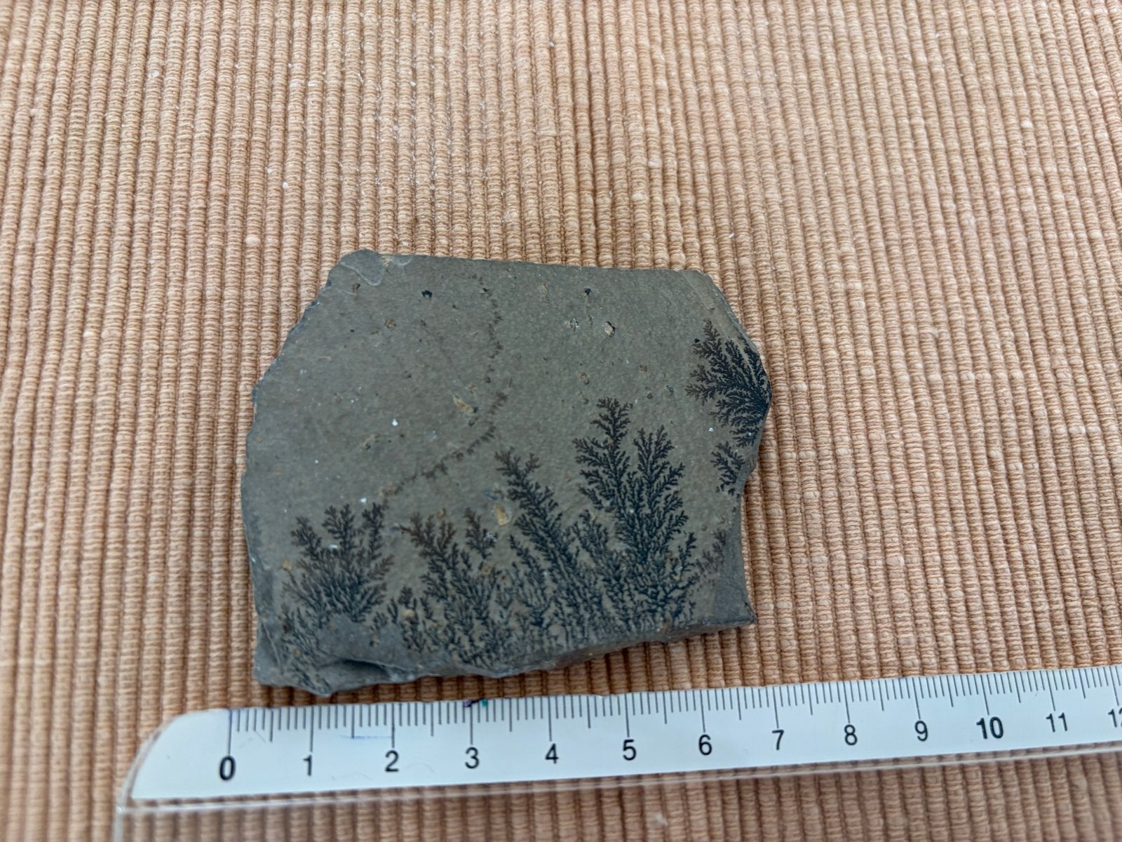 Dendritisch mineraal op steen, Ophalen of Verzenden, Mineraal
