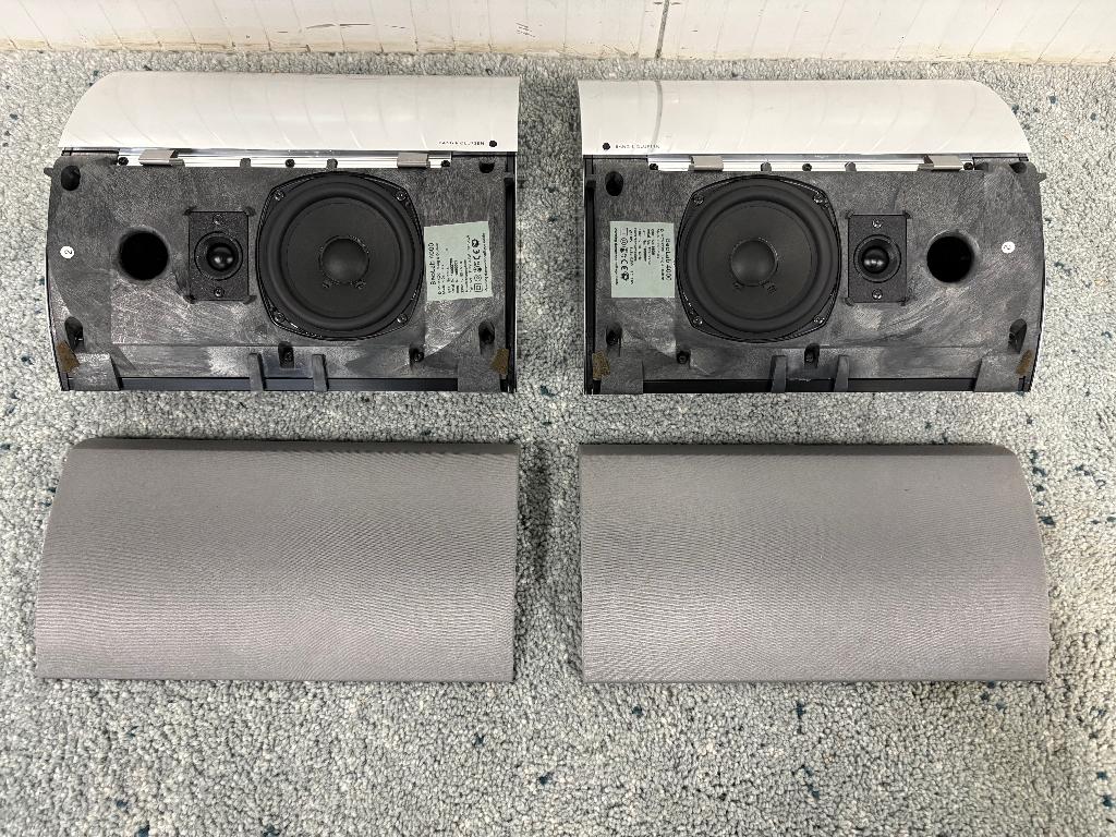 Bang & Olufsen BeoLab 4000 Actieve Luidsprekers + muursteun, Overige merken, Gebruikt, Ophalen of Verzenden, 120 watt of meer