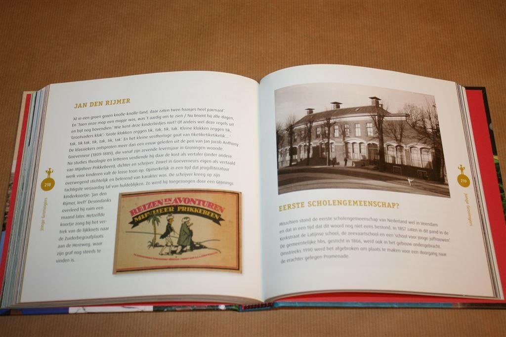 Het Groningen boek, Ophalen of Verzenden, Zo goed als nieuw