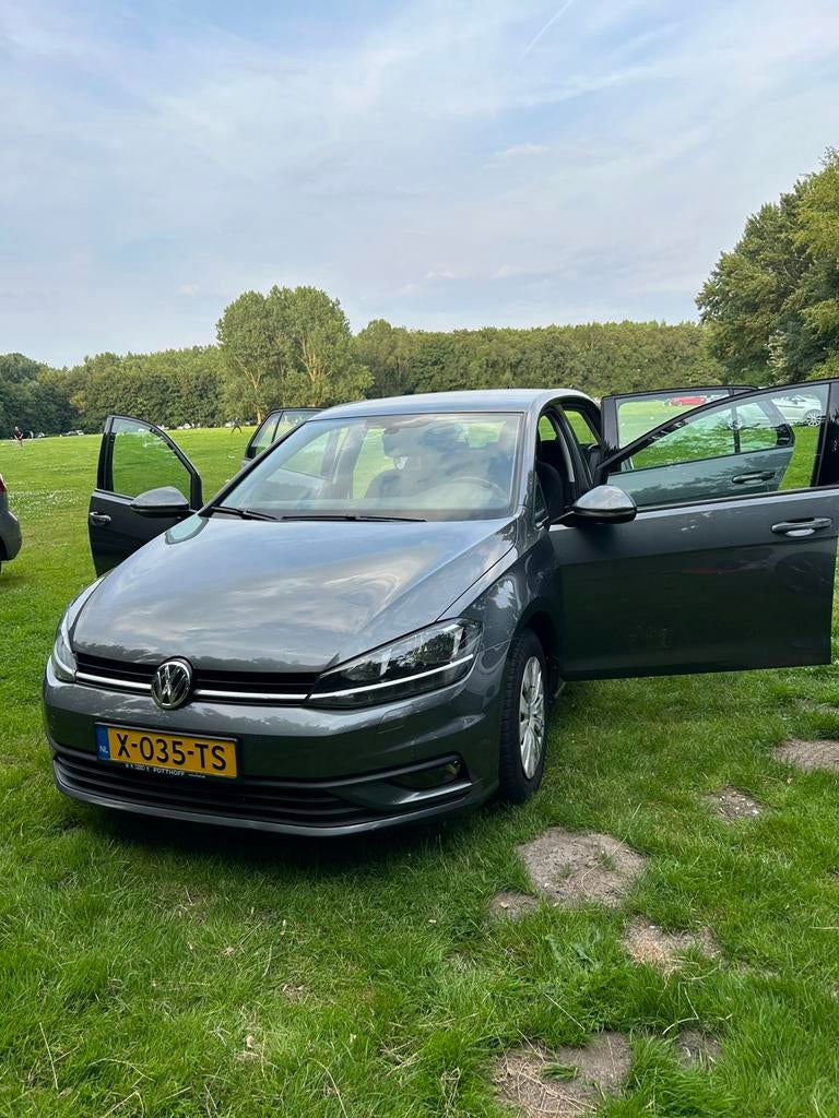 Volkswagen Golf 1.6 TDI 115pk 7-DSG 2019 Grijs, 680 kg, 4 cilinders, Diesel, 115 pk