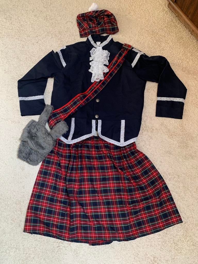 Carnavals kleding heren maat L, Ophalen of Verzenden, Gedragen, Maat 52/54 (L)