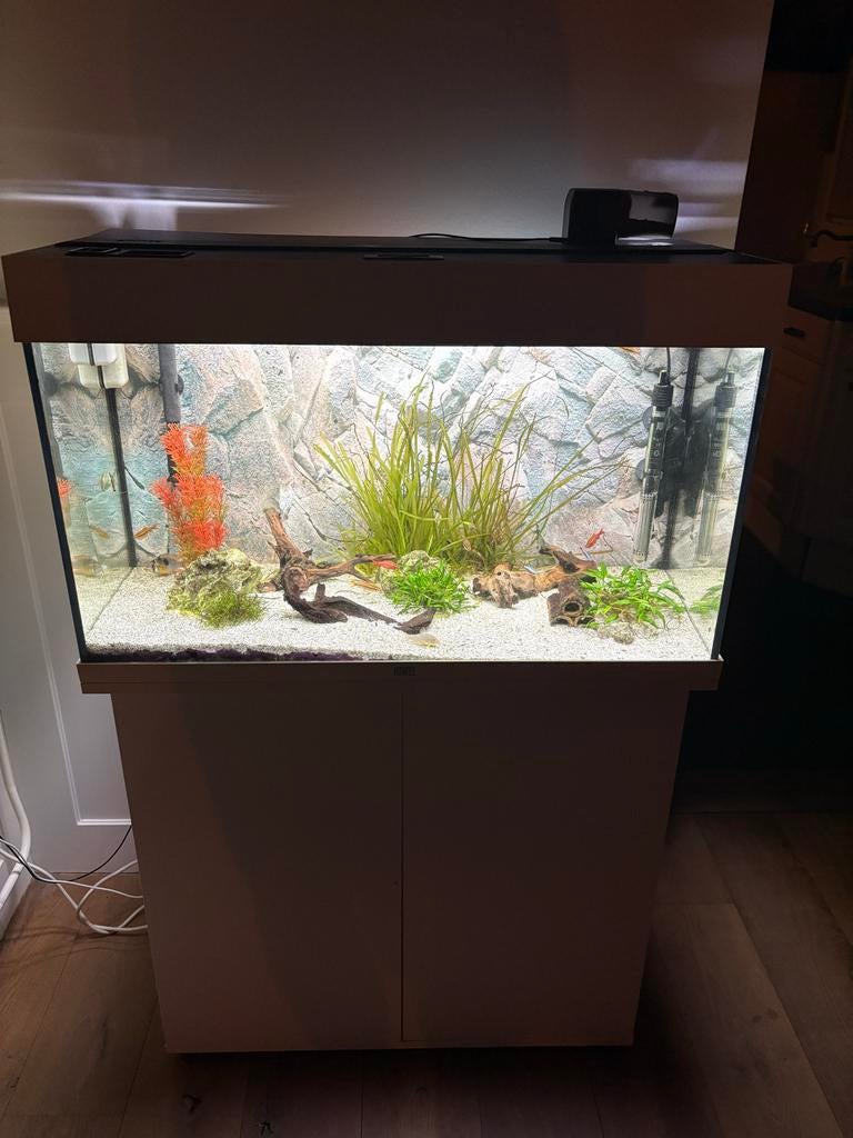 Aquarium (juwel Rio 125) incl. Accessoires en vissen, Ophalen, Zo goed als nieuw, Gevuld zoetwateraquarium