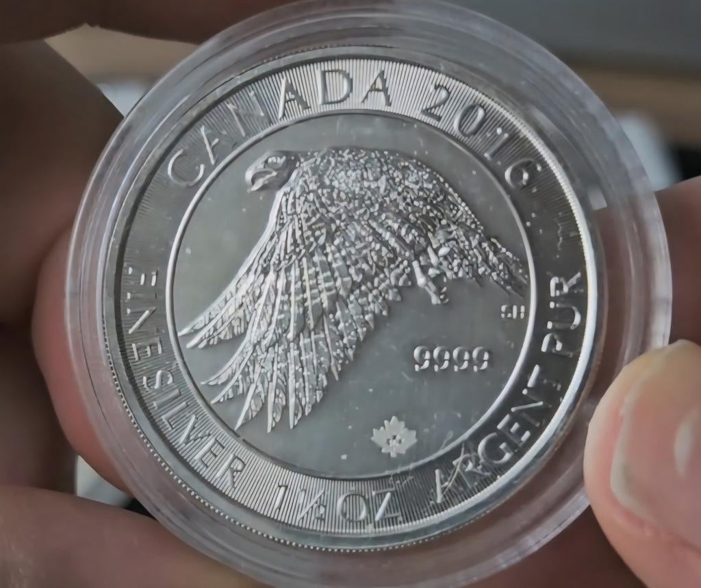 1,5 troy oz 2016 falcon Canada, Verzenden, Zilver