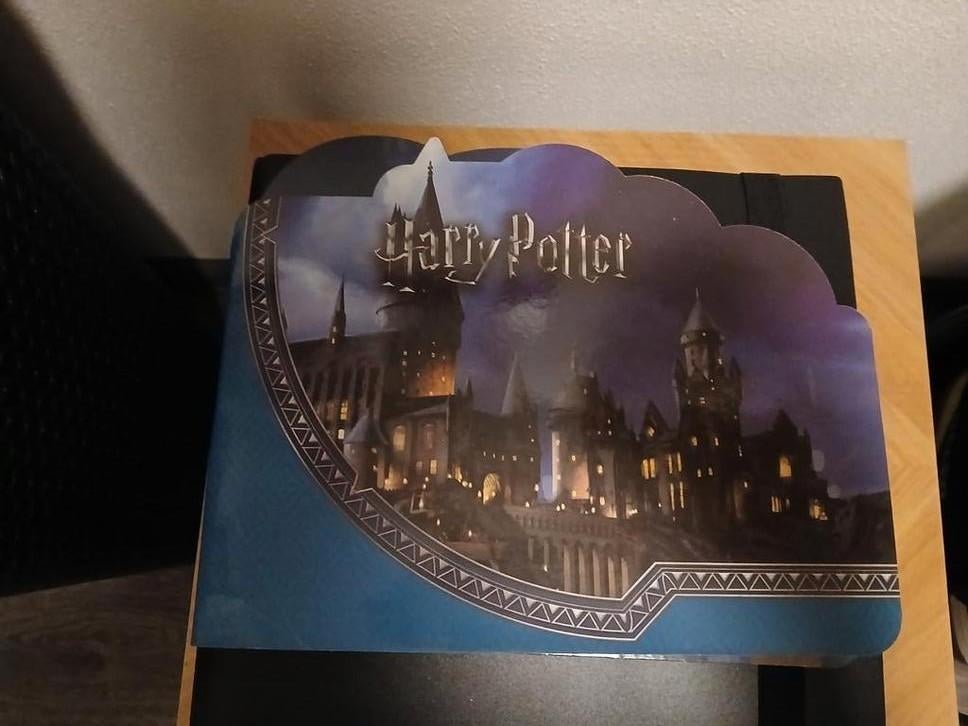 Harry Potter Wizzis Set - Nieuw!, Verzamelen, Harry Potter, Ophalen of Verzenden, Nieuw, Overige typen