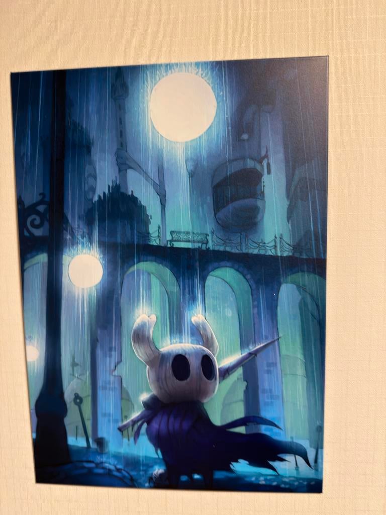Hollow Knight Magnetische Stalen Poster, Ophalen of Verzenden, Zo goed als nieuw