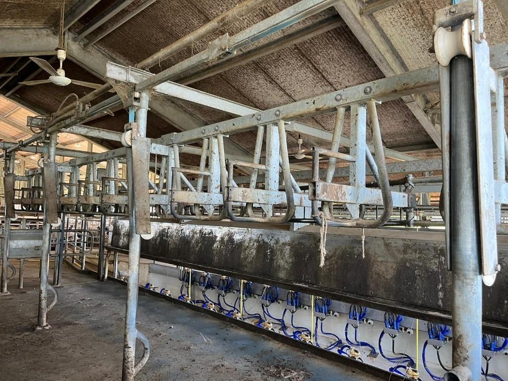 Melkstal, Stalinrichting, koe, melk, Beugelsysteem, Zakelijke goederen, Agrarisch | Werktuigen, Ophalen of Verzenden, Veehouderij