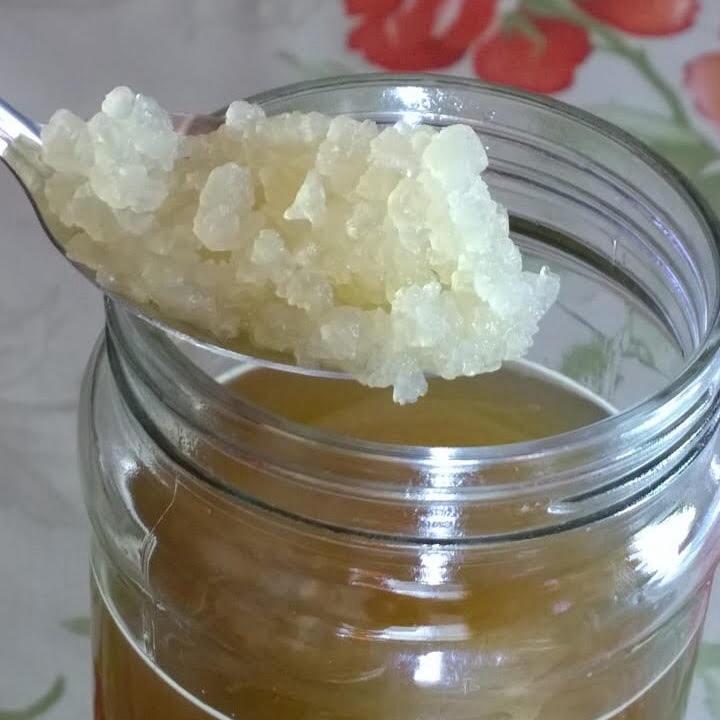 Kefir korrels voor waterkefir - Gratis op te halen, Ophalen