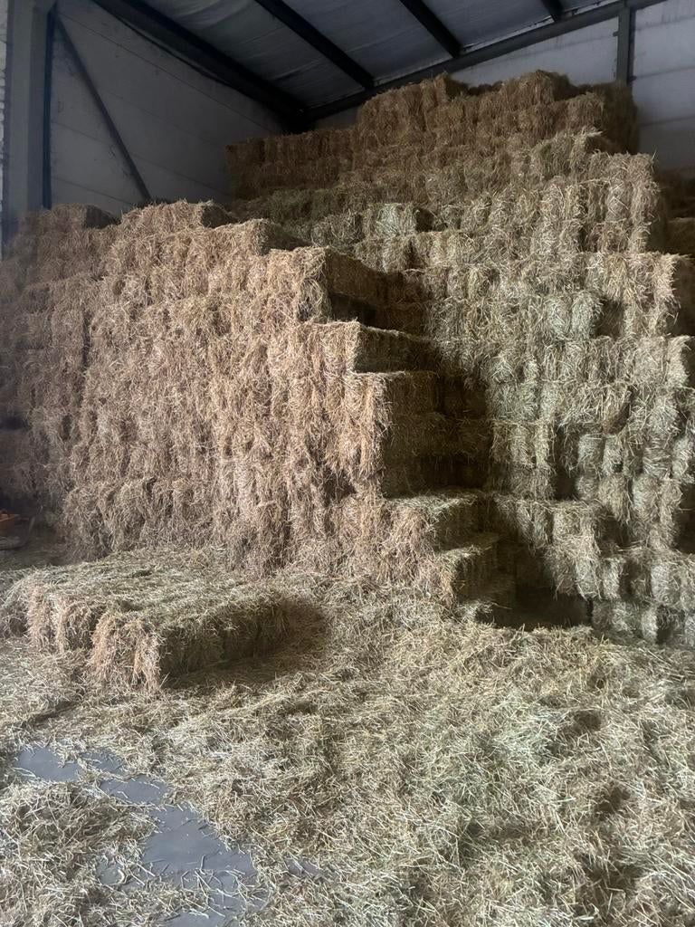Kleine pakjes hooi en grote ronde balen., Dieren en Toebehoren, Dierenvoeding, Ophalen, Vee