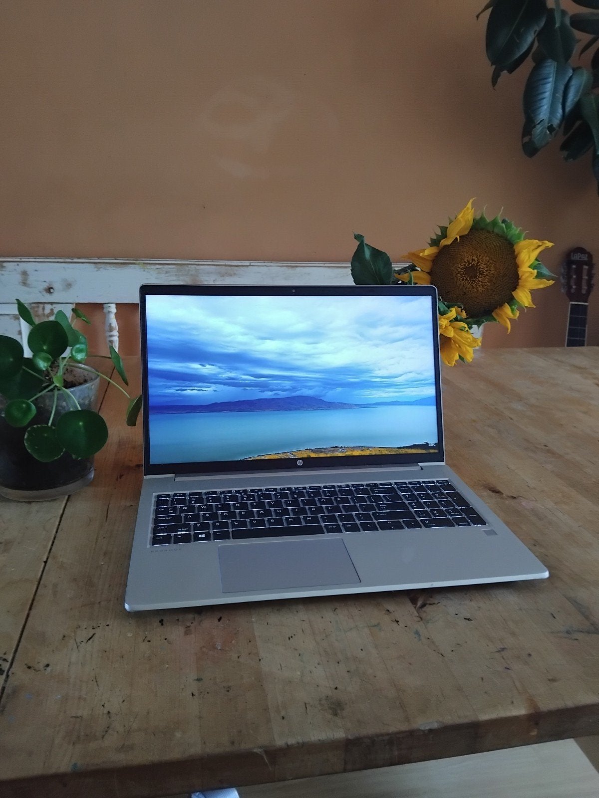 refurbished hp probook 450 g8, 256 GB, Met videokaart, 2 tot 3 Ghz, Refurbished