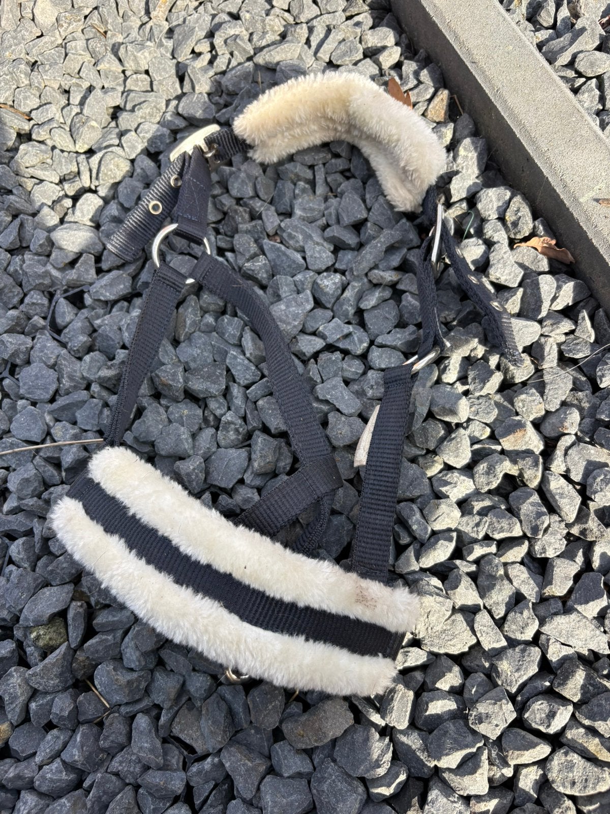 Heel veel halsters, Ophalen of Verzenden, Mini