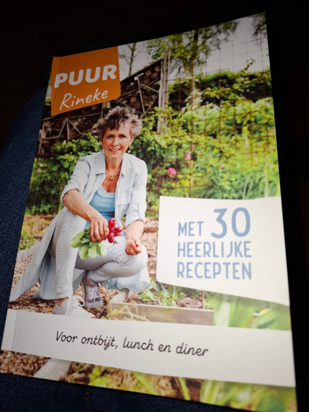 Kookboek rineke dijkinga, Ophalen of Verzenden