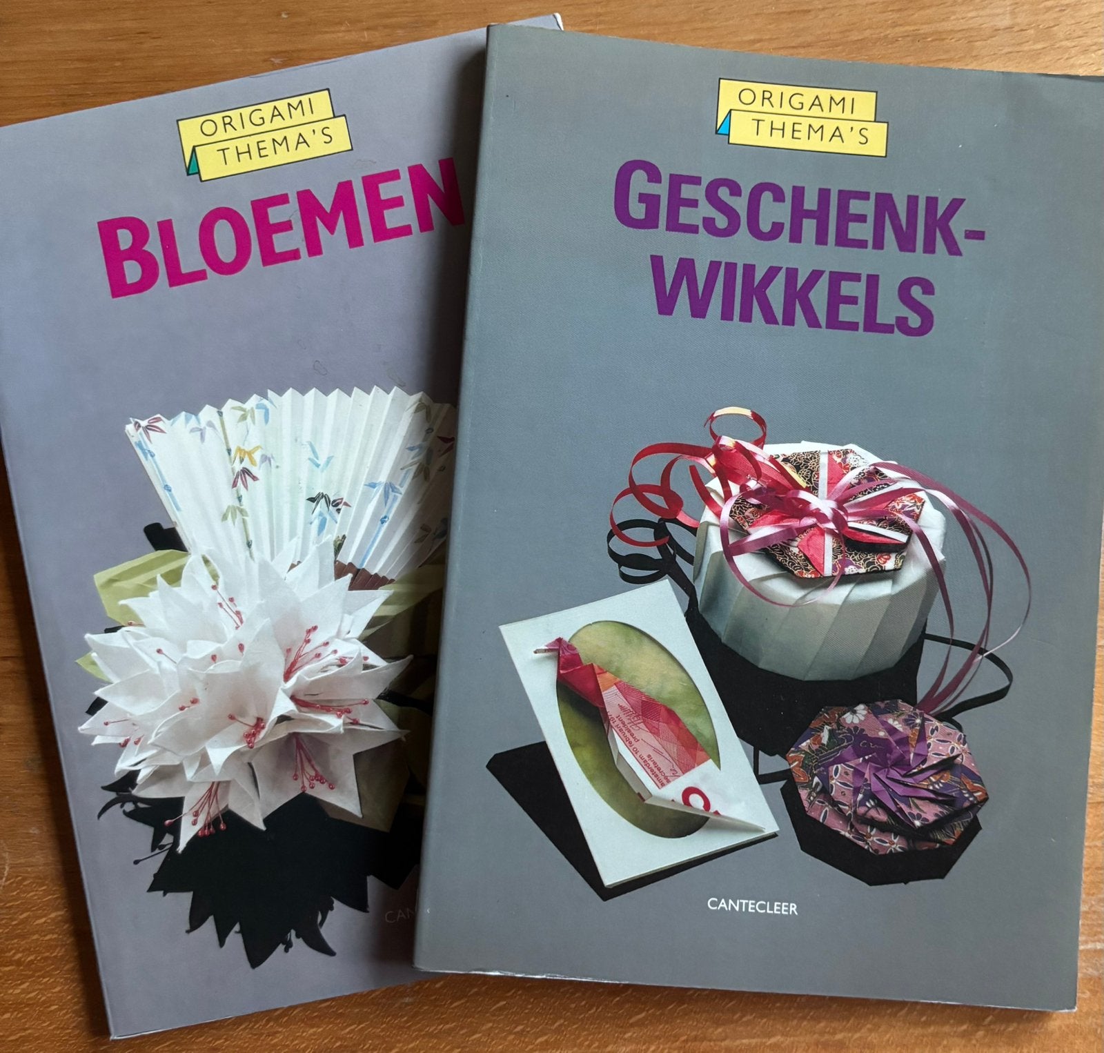 2 themaboekjes Everdien Tiggelaar, Ophalen of Verzenden, Zo goed als nieuw, Overige onderwerpen
