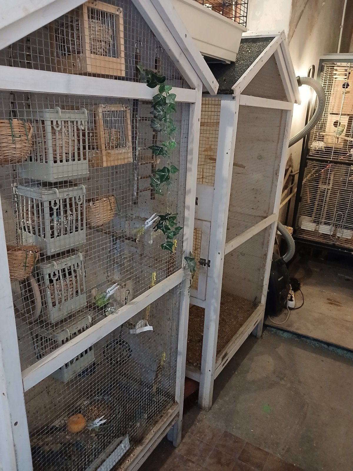 mooie houten volières te koop – ideaal voor vogels, Ophalen of Verzenden, Gebruikt, Hout, Vogelkooi