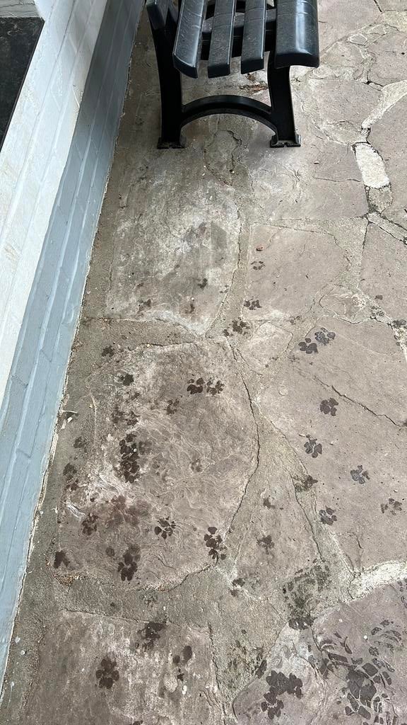 flagstones bestrating rood gratis, Ophalen, Gebruikt, Terrastegels, Natuursteen