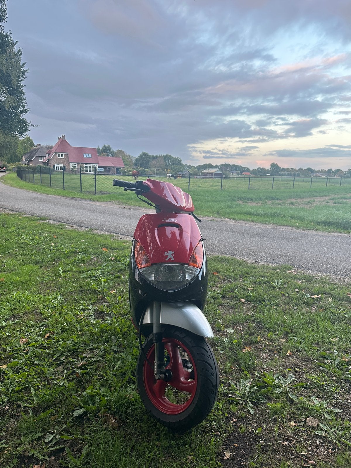 Peugeot Vivacity | 50cc | brom, Ophalen, Tweetakt, Gebruikt, Maximaal 45 km/u