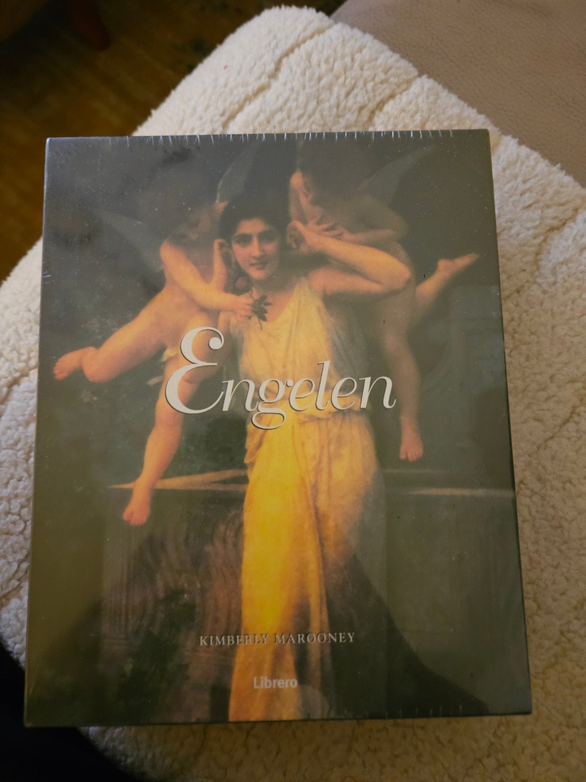 Engelen: Boek en Kaartenset - Spirituele Begeleiding, Boeken, Spiritualiteit algemeen, Nieuw, Ophalen of Verzenden, Instructieboek
