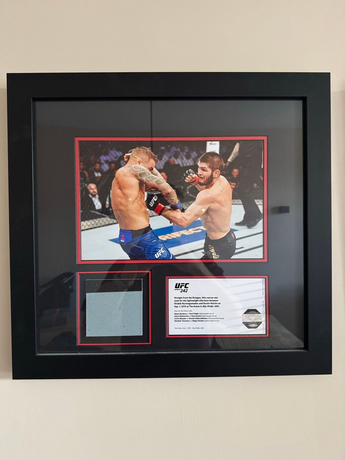 UFC Canvas Collectibles: UFC 242 (Limited Edition), Ophalen, Zo goed als nieuw, Overige sporten, Overige typen