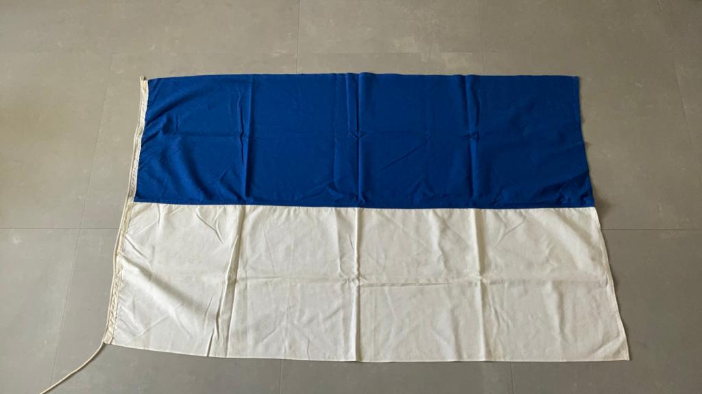 Blauw wit vlag D.V.C. Dokkumer vlaggen centrale, Diversen, Vlaggen en Wimpels, Ophalen of Verzenden, Zo goed als nieuw