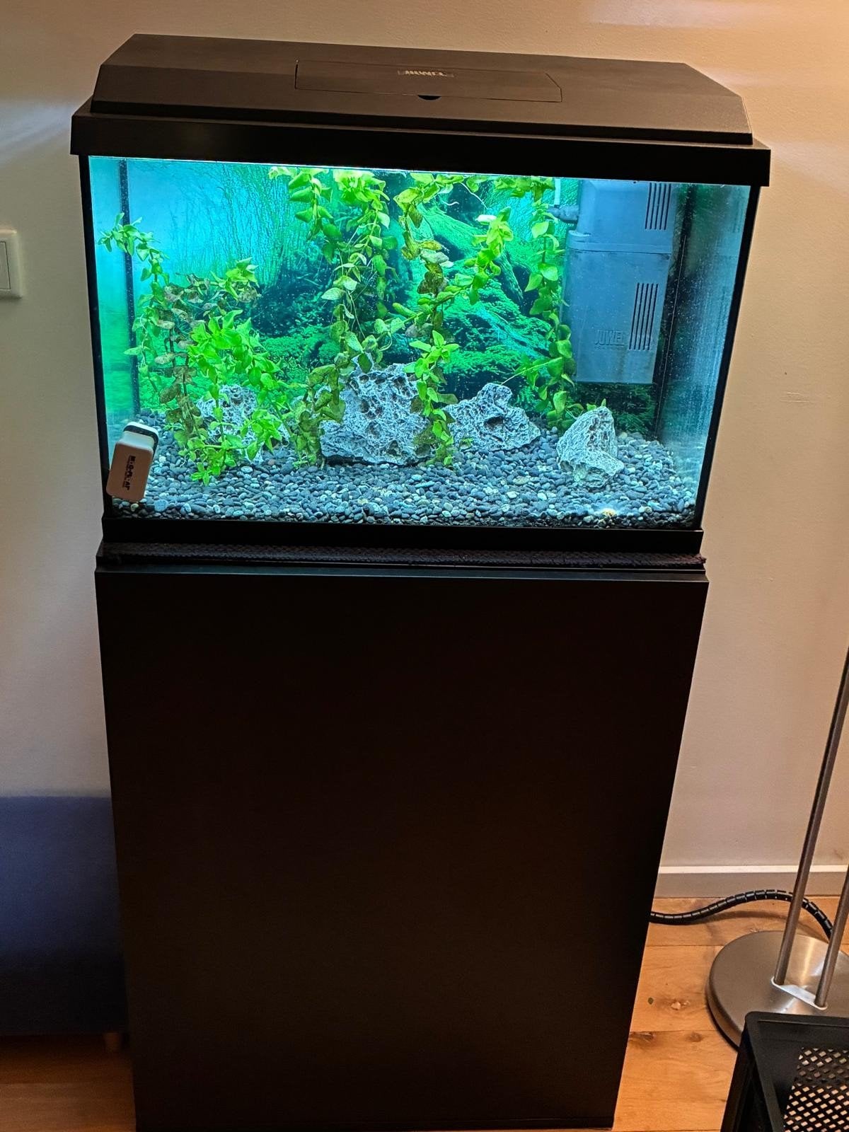 Aquarium juwel primo 70, Dieren en Toebehoren, Zo goed als nieuw, Leeg aquarium, Juwel, Ophalen