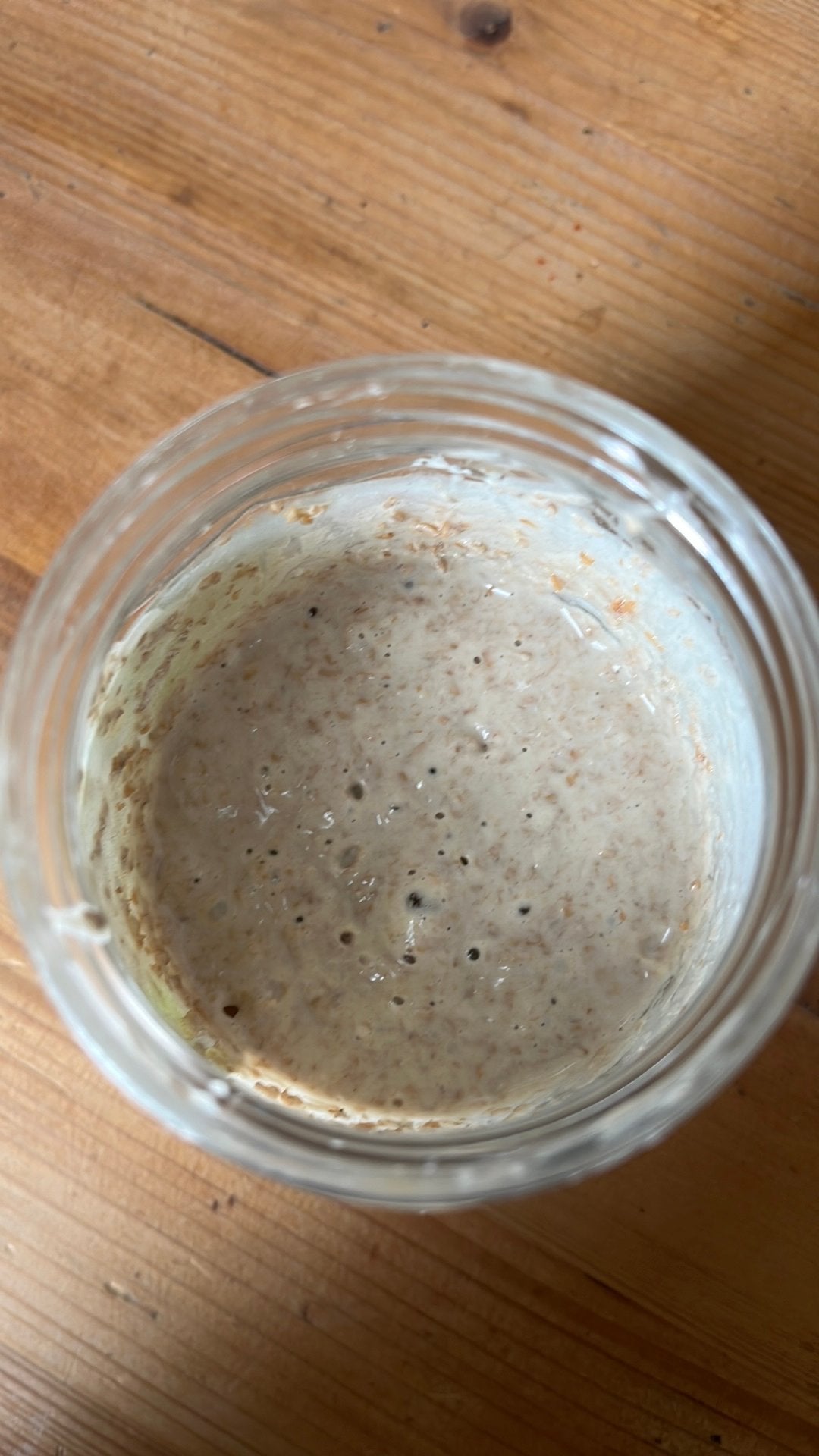 Zuurdesem starter, Diversen, Ophalen