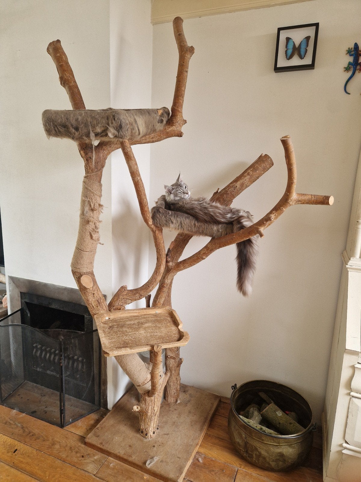 katten klimboom, Ophalen, Gebruikt, Krabpaal