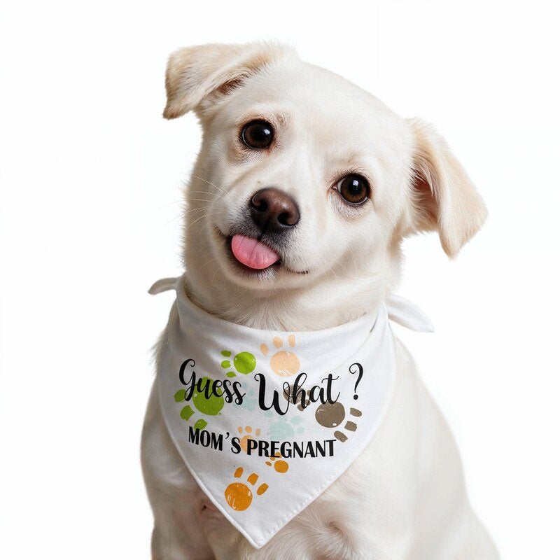 Honden bandana’s en nog veel meer, Overige typen, Nieuw, Ophalen of Verzenden, Info@sweet-one.nl