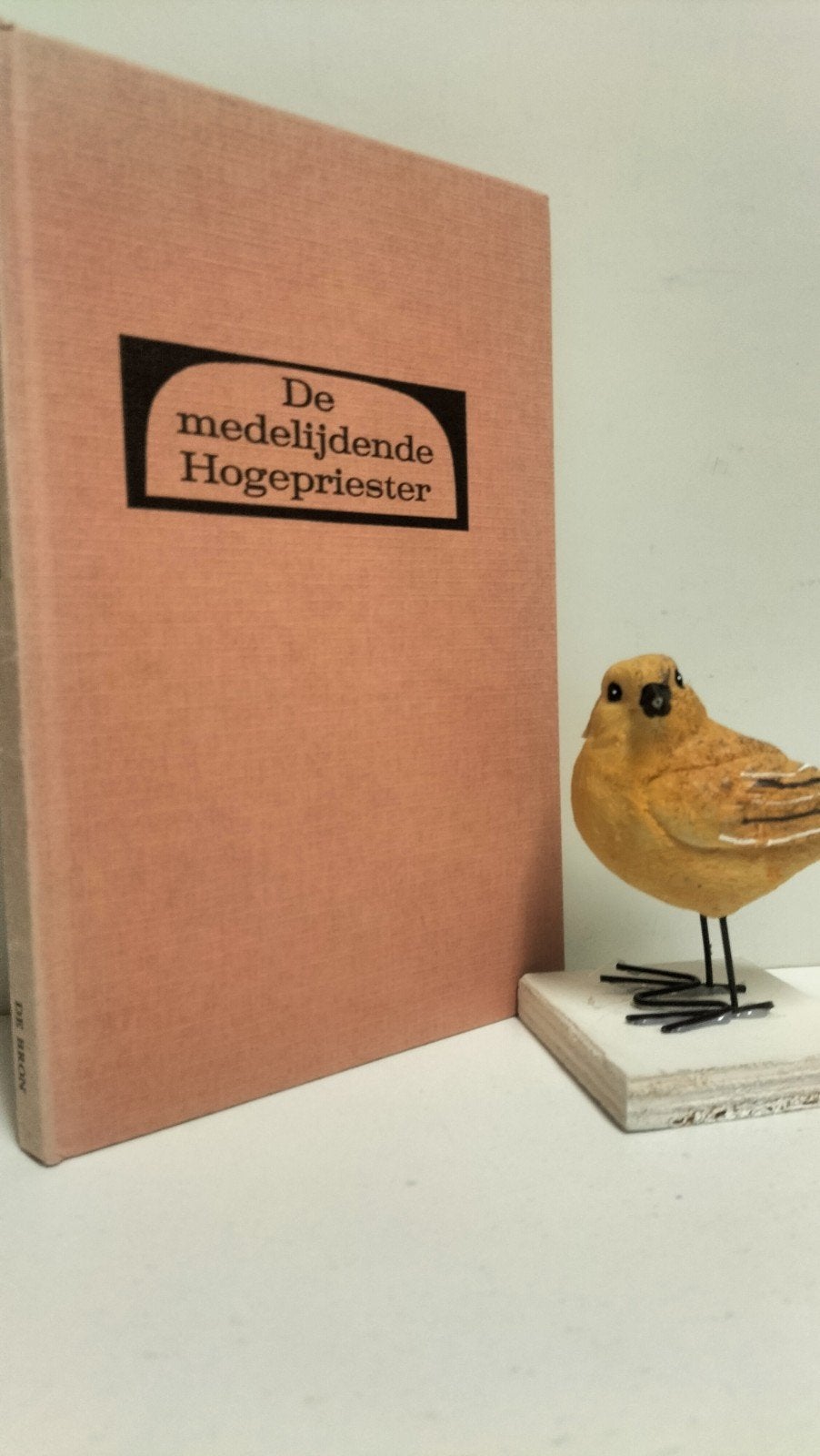 Dam, Ds. Chr. Van; De medelijdende Hogepriester, Ophalen of Verzenden, Gelezen, Christendom | Protestants