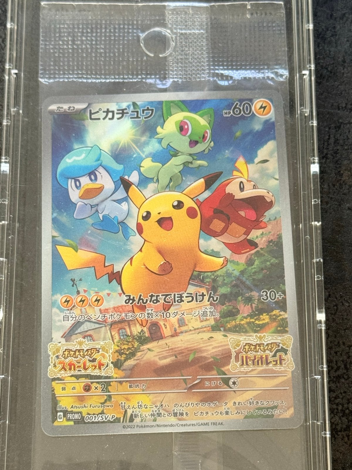 Japanse Pokémon Promo’s Sealed | Pikachu & Arceus V, Ophalen of Verzenden, Nieuw